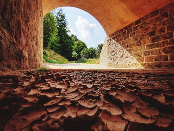 Surface level of stone wall against trees