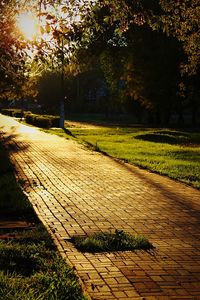 Walkway in park during sunset