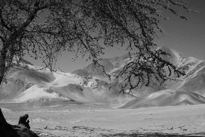 Scenic view of snow covered mountains