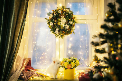 Rabbit on illuminated window sill during christmas at home