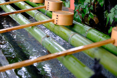 Close-up of dippers on bamboo above wash bowl