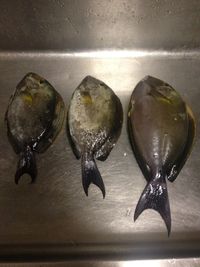 Close-up of food on table