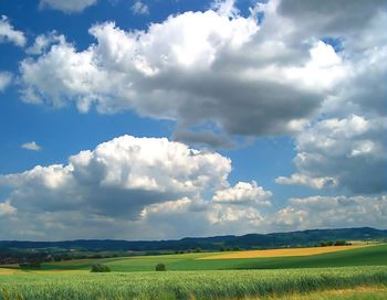 Scenic view of agricultural field against sky