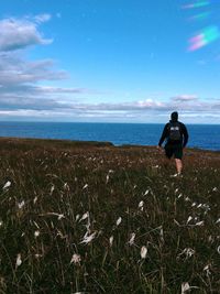 Rear view of man walking at grassy beach against blue sky