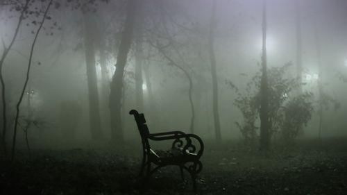 Silhouette person on bench in forest