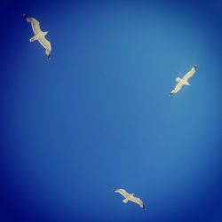 Low angle view of airplane flying against clear blue sky