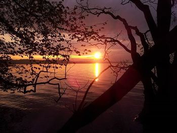 Scenic view of sea at sunset