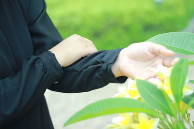 Close-up of hands holding plant