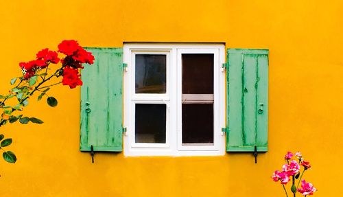 Flower pots on window of building