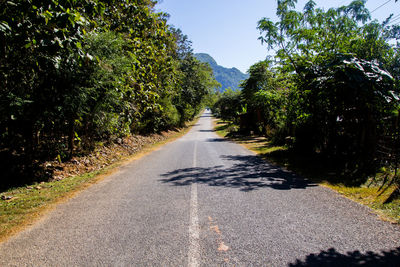 Road amidst trees against sky