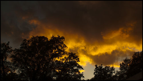 Low angle view of trees against cloudy sky