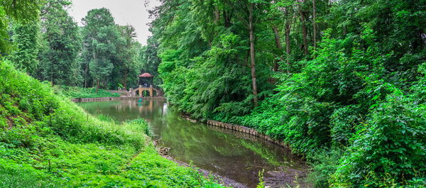 Alexandria park in bila tserkva, one of the most beautiful and famous arboretums in ukraine