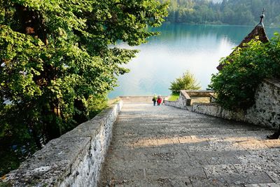 People on shore against trees