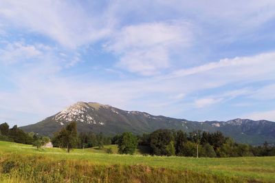 Scenic view of landscape against sky