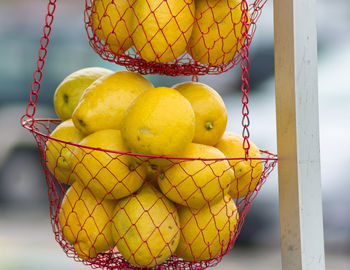 Close-up of fruits hanging