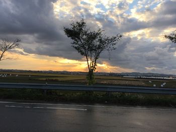 Trees on road against sky at sunset