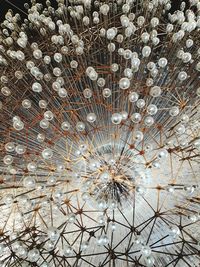 Full frame shot of broken glass window