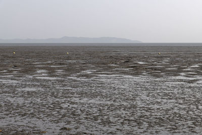 Scenic view of sea against clear sky during winter