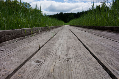 Close-up of agricultural field against sky
