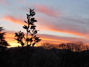 Scenic view of landscape at sunset