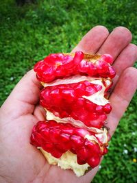 Close-up of hand holding strawberry