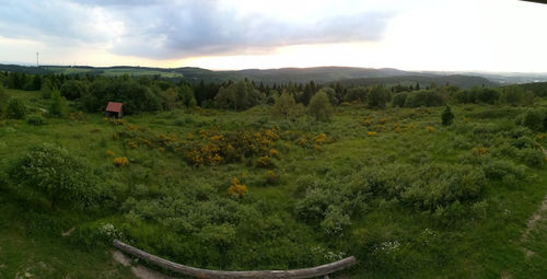 Scenic view of landscape against sky