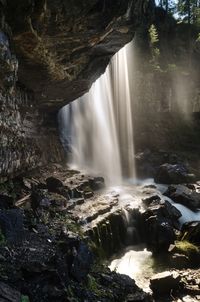 Scenic view of waterfall in forest