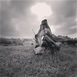 Scenic view of landscape against cloudy sky