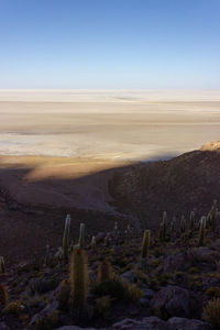 Scenic view of desert against sky