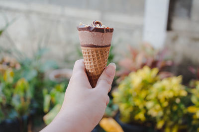 Cropped image of hand holding ice cream