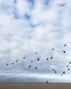 Birds flying over landscape against cloudy sky