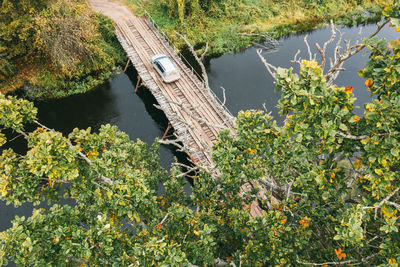 High angle view of plants by lake