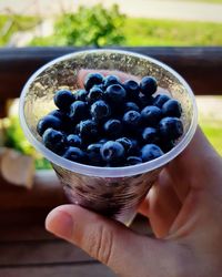 Close-up of hand holding fruits in container