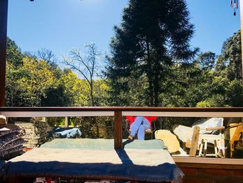 Man standing by plants on sunny day