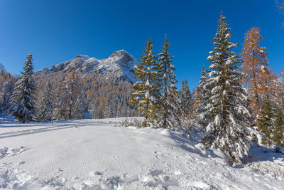 Scenic view of snow covered mountain against sky