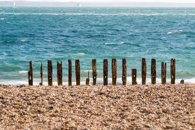 Wooden posts on beach