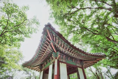 Low angle view of gazebo by trees at changdeokgung