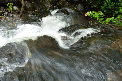 View of waterfall in forest