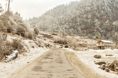 Road amidst trees and plants during winter