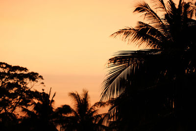 Silhouette palm trees against sky during sunset