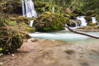 Scenic view of waterfall in forest