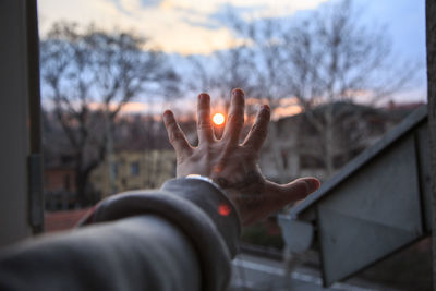 Cropped hand against bare trees during sunset