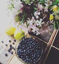High angle view of flowers
