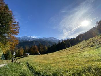 Scenic view of field against sky