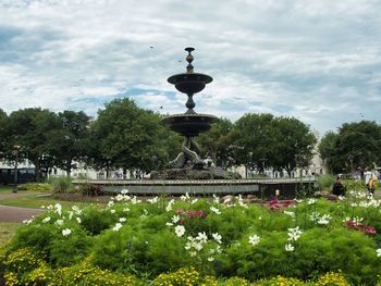 View of fountain in garden