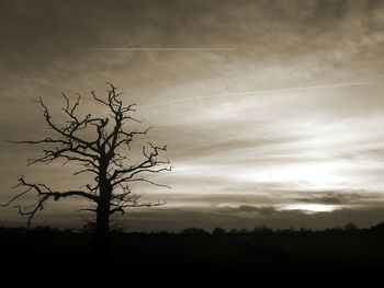 Bare trees on field against cloudy sky