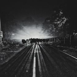 Silhouette people walking on road against sky