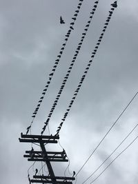 Low angle view of silhouette crane against sky