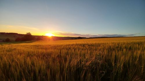 Scenic view of field against sky during sunset