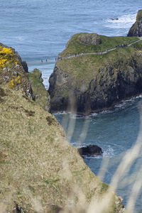 Close-up of sea shore at beach